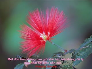 Một đóa hoa không bao giờ khô héo mà không để lại
          một nắm hạt trên nền đất.
                 François Gervais
 