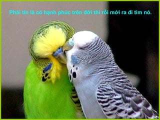 Phải tin là có hạnh phúc trên đời thì rồi mới ra đi tìm nó.
 