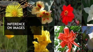 32
INFERENCE
ON IMAGES
 