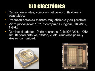 Bio electrónica
• Redes neuronales, como las del cerebro, flexibles y
adaptables;
• Procesan datos de manera muy eficiente y en paralelo;
• Micro procesador: 10x106
compuertas lógicas, 20 Wats,
4 GHz ;
• Cerebro de abeja: 106
de neuronas, 0,1x10-6
Wat, 1KHz
simultáneamente ve, olfatea, vuela, recolecta polen y
vive en comunidad.
 