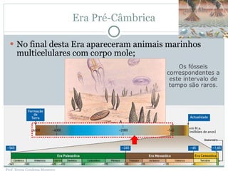 Era Pré-Câmbrica No final desta Era apareceram animais marinhos multicelulares com corpo mole; Os fósseis correspondentes a este intervalo de tempo são raros. Prof. Teresa Condeixa Monteiro 