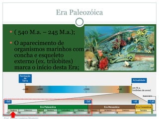 Era Paleozóica ( 540 M.a. – 245 M.a.); O aparecimento de organismos marinhos com concha e esqueleto externo (ex. trilobites) marca o início desta Era; Prof. Teresa Condeixa Monteiro 