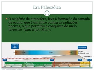 Era Paleozóica O oxigénio da atmosfera, leva à formação da camada de ozono, que é um filtro contra as radiações nocivas, o que permitiu a conquista do meio terrestre  (400 a 370 M.a.); Prof. Teresa Condeixa Monteiro 