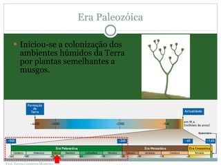 Era Paleozóica Iniciou-se a colonização dos ambientes húmidos da Terra por plantas semelhantes a musgos. Prof. Teresa Condeixa Monteiro 