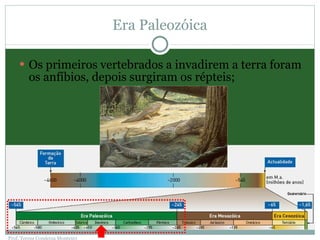 Era Paleozóica Os primeiros vertebrados a invadirem a terra foram os anfíbios, depois surgiram os répteis; Prof. Teresa Condeixa Monteiro 