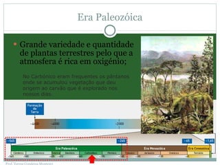 Era Paleozóica Grande variedade e quantidade de plantas terrestres pelo que a atmosfera é rica em oxigénio; No Carbónico eram frequentes os pântanos onde se acumulou vegetação que deu origem ao carvão que é explorado nos nossos dias. Prof. Teresa Condeixa Monteiro 
