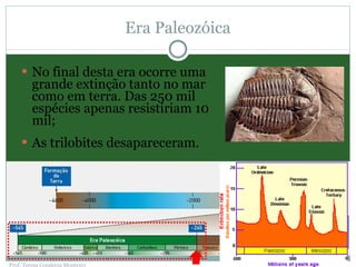 Era Paleozóica No final desta era ocorre uma grande extinção tanto no mar como em terra. Das 250 mil espécies apenas resistiriam 10 mil; As trilobites desapareceram. Prof. Teresa Condeixa Monteiro 