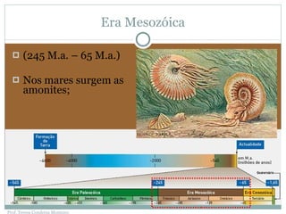 Era Mesozóica (245 M.a. – 65 M.a.) Nos mares surgem as amonites; Prof. Teresa Condeixa Monteiro 