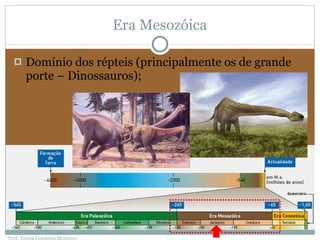 Era Mesozóica Domínio dos répteis (principalmente os de grande porte – Dinossauros); Prof. Teresa Condeixa Monteiro 