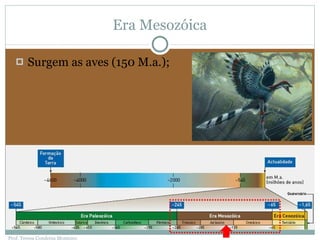 Era Mesozóica Surgem as aves (150 M.a.); Prof. Teresa Condeixa Monteiro 
