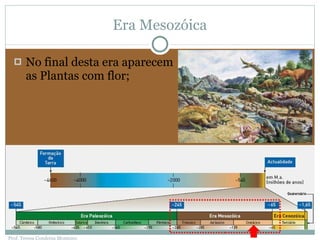Era Mesozóica No final desta era aparecem as Plantas com flor; Prof. Teresa Condeixa Monteiro 