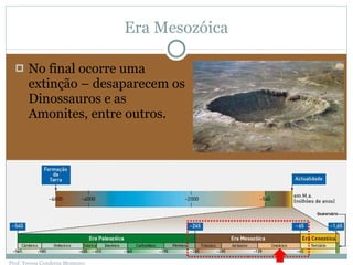 Era Mesozóica No final ocorre uma extinção – desaparecem os Dinossauros e as Amonites, entre outros. Prof. Teresa Condeixa Monteiro 