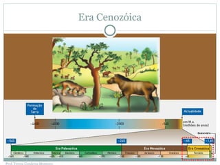 Era Cenozóica Prof. Teresa Condeixa Monteiro 