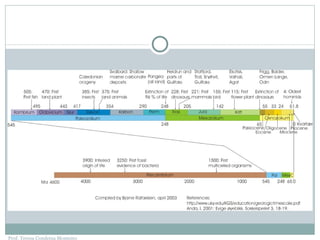 Prof. Teresa Condeixa Monteiro 