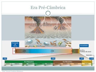 Era Pré-Câmbrica Prof. Teresa Condeixa Monteiro 
