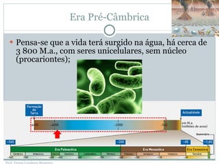 Era Pré-Câmbrica Pensa-se que a vida terá surgido na água, há cerca de 3 800 M.a., com seres unicelulares, sem núcleo (procariontes); Prof. Teresa Condeixa Monteiro 