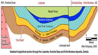 Hydrothermal Ore Deposits: A DISCUSSION