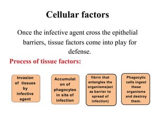 Cellular factors
Once the infective agent cross the epithelial
barriers, tissue factors come into play for
defense.
Process of tissue factors:
Invasion
of tissues
by
infective
agent
Accumulat
on of
phagocytes
in site of
infection
fibrin that
entangles the
organisms(act
as barrier to
spread of
infection)
Phagocytic
cells ingest
these
organisms
and destroy
them.
 
