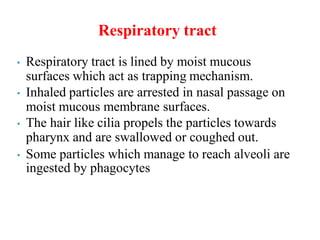 Respiratory tract
• Respiratory tract is lined by moist mucous
surfaces which act as trapping mechanism.
• Inhaled particles are arrested in nasal passage on
moist mucous membrane surfaces.
• The hair like cilia propels the particles towards
pharynx and are swallowed or coughed out.
• Some particles which manage to reach alveoli are
ingested by phagocytes
 