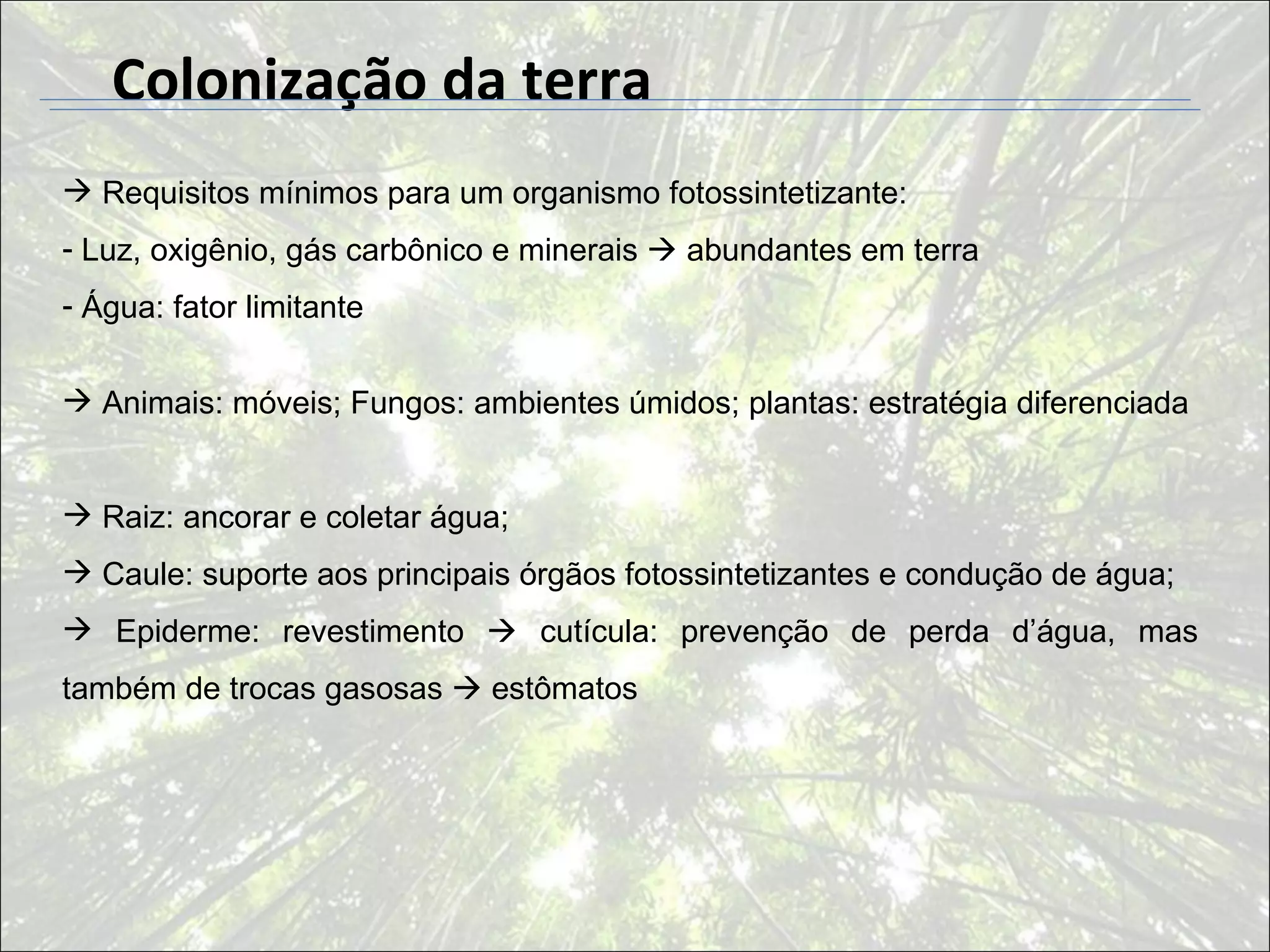 Colonização da terra
 Requisitos mínimos para um organismo fotossintetizante:
- Luz, oxigênio, gás carbônico e minerais  abundantes em terra
- Água: fator limitante


 Animais: móveis; Fungos: ambientes úmidos; plantas: estratégia diferenciada


 Raiz: ancorar e coletar água;
 Caule: suporte aos principais órgãos fotossintetizantes e condução de água;
 Epiderme: revestimento  cutícula: prevenção de perda d’água, mas
também de trocas gasosas  estômatos
 