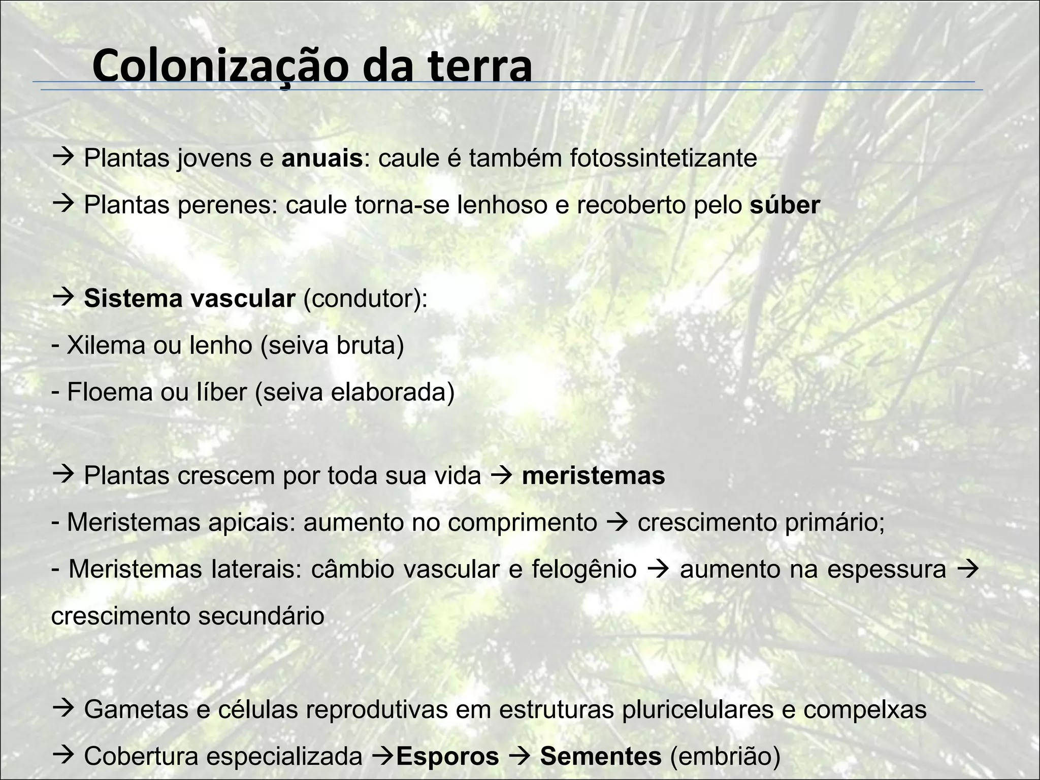 Colonização da terra
 Plantas jovens e anuais: caule é também fotossintetizante
 Plantas perenes: caule torna-se lenhoso e recoberto pelo súber


 Sistema vascular (condutor):
- Xilema ou lenho (seiva bruta)
- Floema ou líber (seiva elaborada)


 Plantas crescem por toda sua vida  meristemas
- Meristemas apicais: aumento no comprimento  crescimento primário;
- Meristemas laterais: câmbio vascular e felogênio  aumento na espessura 
crescimento secundário


 Gametas e células reprodutivas em estruturas pluricelulares e compelxas
 Cobertura especializada Esporos  Sementes (embrião)
 