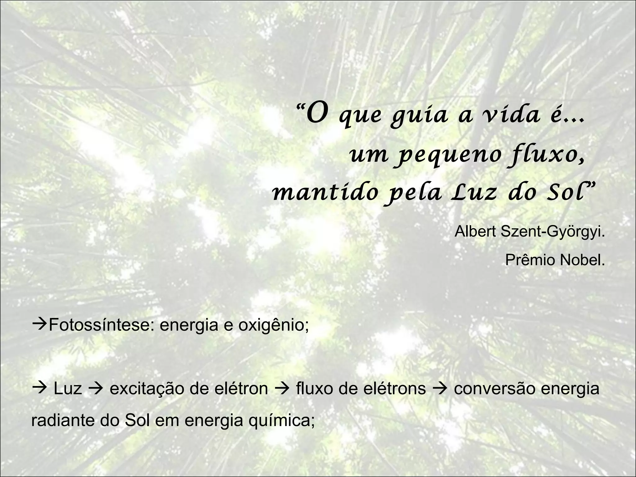 “ O que guia a vida é...
                                      um pequeno fluxo,
                             mantido pela Luz do Sol”
                                                  Albert Szent-Györgyi.
                                                         Prêmio Nobel.



Fotossíntese: energia e oxigênio;


 Luz  excitação de elétron  fluxo de elétrons  conversão energia
radiante do Sol em energia química;
 