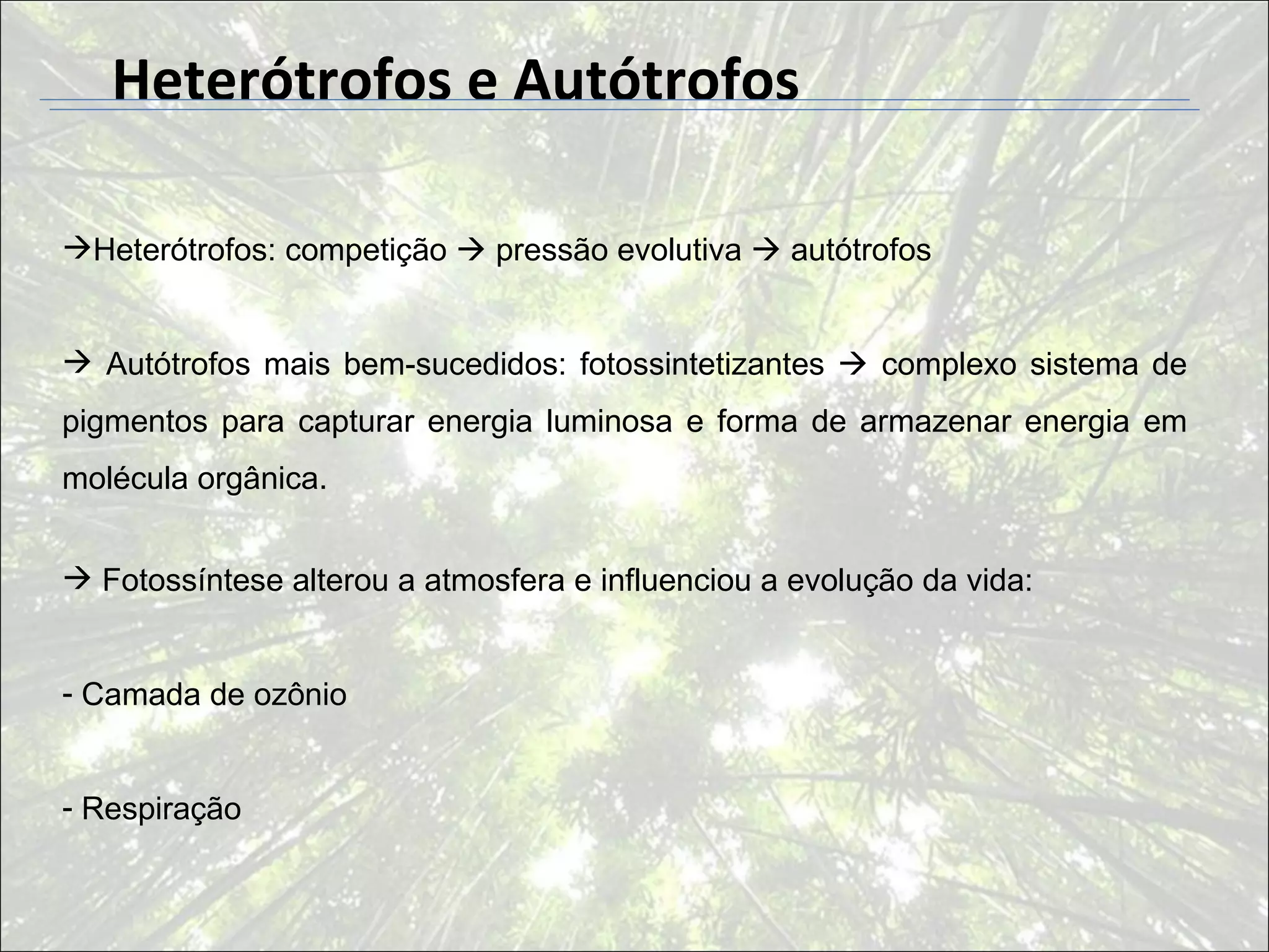 Heterótrofos e Autótrofos

Heterótrofos: competição  pressão evolutiva  autótrofos


 Autótrofos mais bem-sucedidos: fotossintetizantes  complexo sistema de
pigmentos para capturar energia luminosa e forma de armazenar energia em
molécula orgânica.


 Fotossíntese alterou a atmosfera e influenciou a evolução da vida:


- Camada de ozônio


- Respiração
 