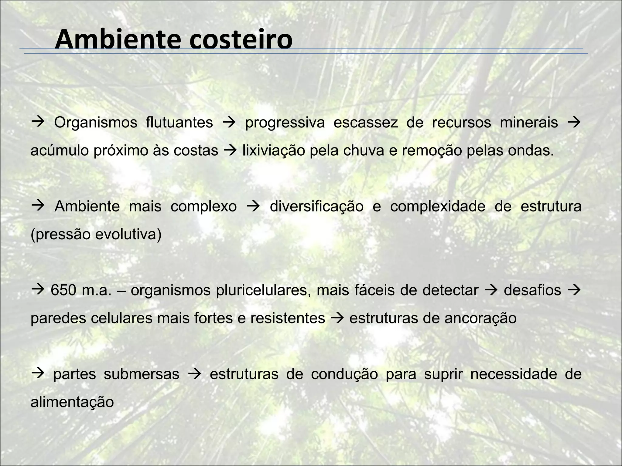 Ambiente costeiro

 Organismos flutuantes  progressiva escassez de recursos minerais 
acúmulo próximo às costas  lixiviação pela chuva e remoção pelas ondas.


 Ambiente mais complexo  diversificação e complexidade de estrutura
(pressão evolutiva)


 650 m.a. – organismos pluricelulares, mais fáceis de detectar  desafios 
paredes celulares mais fortes e resistentes  estruturas de ancoração


 partes submersas  estruturas de condução para suprir necessidade de
alimentação
 