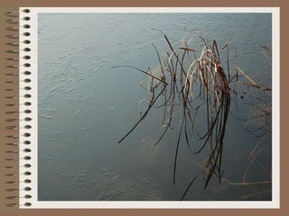 +  Durante el “segundo” viaje: 1 Tes (51-52), ¿2 Tes? (51- 52) +  Durante el “tercer” viaje:  - durante la estancia en Efeso (54-57): Gal, Flp, Flm,    1 Cor (57); - en Macedonia: 2 Cor (57-58).  - en Corinto: Rom (58/59) +  Cartas de la Cautividad (Col, Ef): ¿54-57 en Efeso?  ¿58-60 en Cesarea de Palestina? ¿61-62 en Roma? +   Pastorales: ¿63-67 en Roma?  +  Los que niegan la autenticidad de las  deuteropaulinas :  2 Tes-Col-Ef hacia el 70 y Pastorales hacia el 90  ►   Orden. ¿En qué orden cronológico se escribieron?   + Orden  cronológico : 