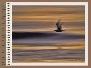 procede del: s. IV, y es el de la Iglesia Romana, determinado por la extensión de cada carta y por los destinatarios (primero se colocan las dirigidas a iglesias y después  las dirigidas a personas particulares): - Romanos, 1 Corintios, 2 Corintios, Gálatas, Efesios, Filipenses, Colosenses, 1 Tesalonicenses,  2 Tesalonicenses, 1 Timoteo, 2 Timoteo, Tito, Filemón ►   El orden de las ediciones actuales 