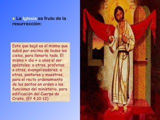 ●   La  Iglesia  es fruto de la resurrección: Este que bajó es el mismo que subió por encima de todos los cielos, para llenarlo todo. El mismo « dio » a unos el ser apóstoles; a otros, profetas; a otros, evangelizadores; a otros, pastores y maestros, para el recto ordenamiento de los santos en orden a las funciones del ministerio, para edificación del Cuerpo de Cristo, (Ef 4,10-12)   