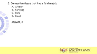 2. Connective tissue that has a fluid matrix
A. Areolar
B. Cartilage
C. Bone
D. Blood
ANSWER: D
 