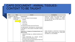 CAPS DOCUMENT : ANIMAL TISSUES-
CONTENT TO BE TAUGHT
 