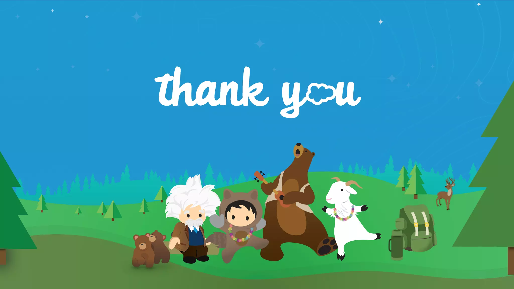 Manage Salesforce Like a Pro with Governance