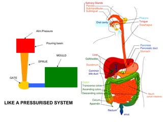 Sprure System MANUFACTURING SCIENCE S5ME -NITC-2016 | PPT