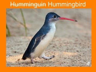 SEO en la era de Hummingbird - Entities y personalización de las búsquedas