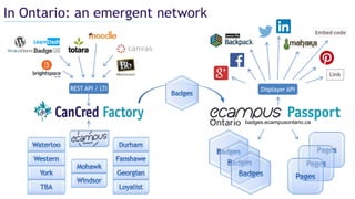 Displayer API
badges.ecampusontario.ca
REST API / LTI
In Ontario: an emergent network
 