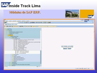 <ul><ul><li>Módulos de SAP ERP. </li></ul></ul>
