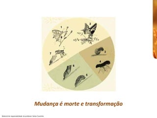 Mudança é morte e transformação
                                             Mudança é morte e transformação 
Material de responsabilidade  do professor Heitor Coutinho 
 