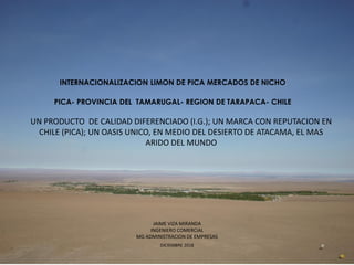 INTERNACIONALIZACION LIMON DE PICA MERCADOS DE NICHO
PICA- PROVINCIA DEL TAMARUGAL- REGION DE TARAPACA- CHILE
DICIEMBRE 2018
JAIME VIZA MIRANDA
INGENIERO COMERCIAL
MG ADMINISTRACION DE EMPRESAS
UN PRODUCTO DE CALIDAD DIFERENCIADO (I.G.); UN MARCA CON REPUTACION EN
CHILE (PICA); UN OASIS UNICO, EN MEDIO DEL DESIERTO DE ATACAMA, EL MAS
ARIDO DEL MUNDO
 