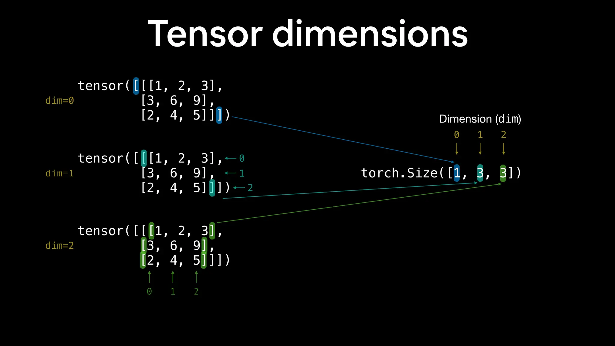 tensor([[[1, 2, 3],
[3, 6, 9],
[2, 4, 5]]])
0
1
2
0 1 2
tensor([[[1, 2, 3],
[3, 6, 9],
[2, 4, 5]]])
tensor([[[1, 2, 3],
[3, 6, 9],
[2, 4, 5]]])
torch.Size([1, 3, 3])
0 1 2
Dimension (dim)
dim=0
dim=1
dim=2
Tensor dimensions
 