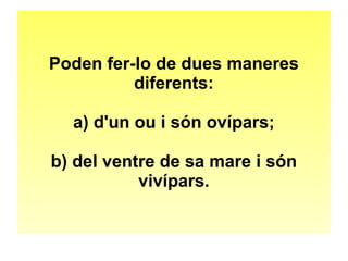 Poden fer-lo de dues maneres 
diferents: 
a) d'un ou i són ovípars; 
b) del ventre de sa mare i són 
vivípars. 
 