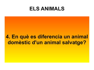 ELS ANIMALS 
4. En què es diferencia un animal 
domèstic d'un animal salvatge? 
 