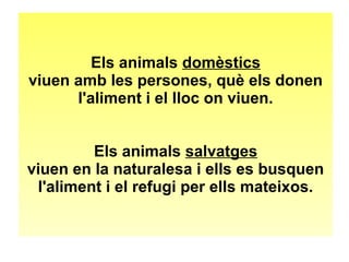 Els animals domèstics 
viuen amb les persones, què els donen 
l'aliment i el lloc on viuen. 
Els animals salvatges 
viuen en la naturalesa i ells es busquen 
l'aliment i el refugi per ells mateixos. 
 