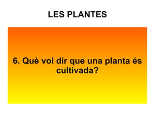LES PLANTES 
6. Què vol dir que una planta és 
cultivada? 
 