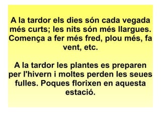 A la tardor els dies són cada vegada 
més curts; les nits són més llargues. 
Comença a fer més fred, plou més, fa 
vent, etc. 
A la tardor les plantes es preparen 
per l'hivern i moltes perden les seues 
fulles. Poques florixen en aquesta 
estació. 
 