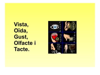 Vista, 
Oïda, 
Gust, 
Olfacte i 
Tacte. 
 