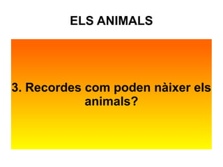 ELS ANIMALS 
3. Recordes com poden nàixer els 
animals? 
 