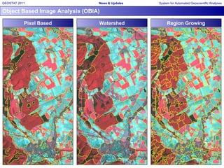 Object Based Image Analysis (OBIA) Pixel Based Region Growing Watershed 