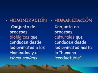<ul><li>HOMINIZACIÓN </li></ul><ul><li>Conjunto de procesos  biológicos  que conducen desde los primates a los Homínidos y...